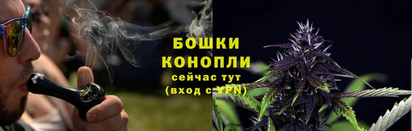 эйфоретик Туринск