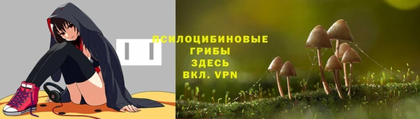 синтетический гашиш Дмитров
